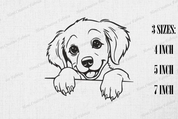Cute Golden Retriever Peeking Wall Review