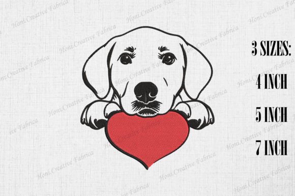 Labrador Retriever Peeking from Heart Review