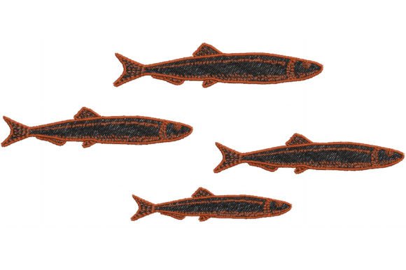 School of Small Fish: A Designer’s Review for Boutique Sweatshirts
